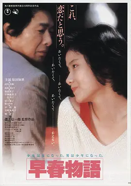 美景之屋2 电影海报
